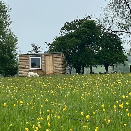 Off Grid Shepherds Hut Llansilin المظهر الخارجي الصورة