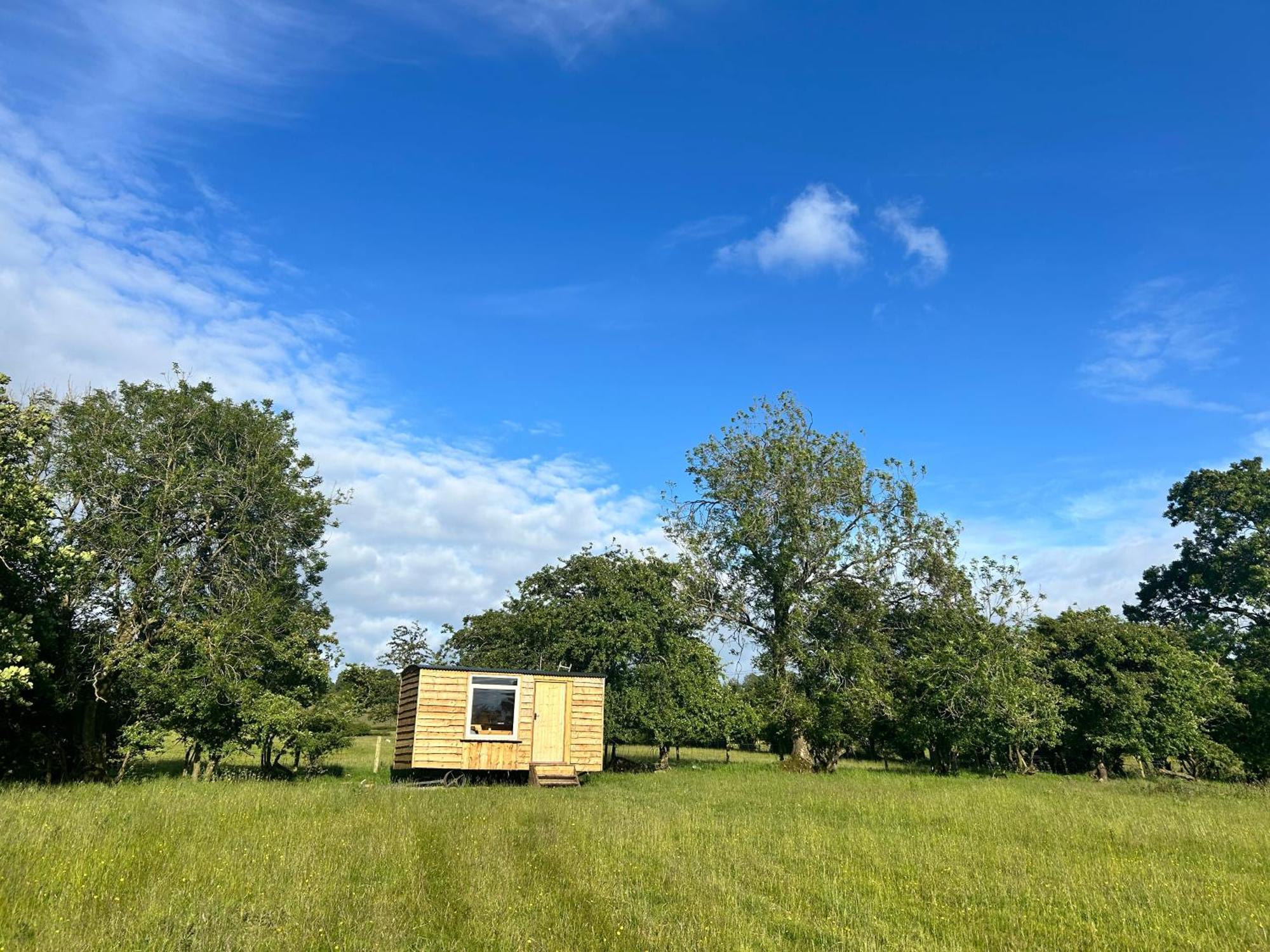 Off Grid Shepherds Hut Llansilin المظهر الخارجي الصورة